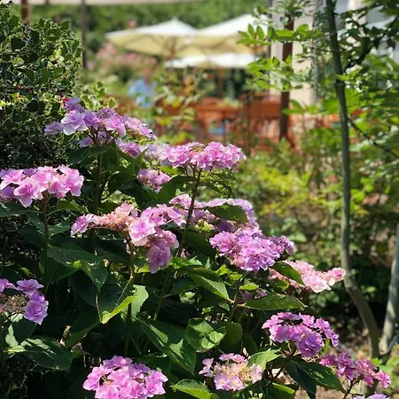 Il Baco Da Seta Çiftlik konaklama