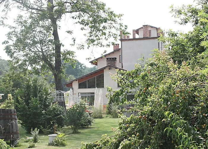 Il Baco Da Seta