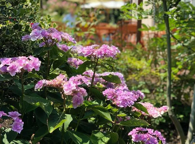 Il Baco Da Seta Bauernhof